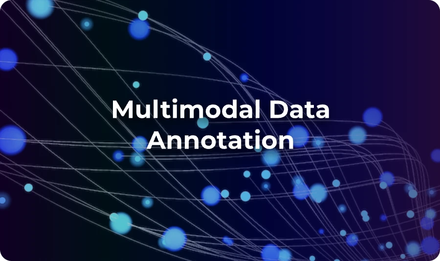 Multimodal Data Annotation