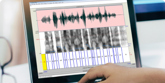 Phoneme Segmentation